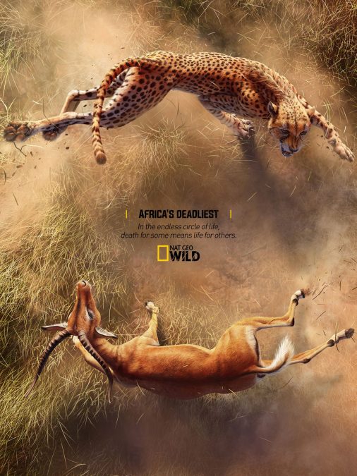 Africa’s Deadliest