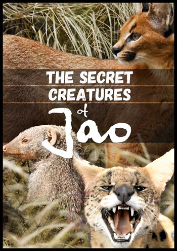 The Secret Creatures of Jao